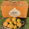 湖南石门柑橘 4.5kg礼盒装 商品缩略图1