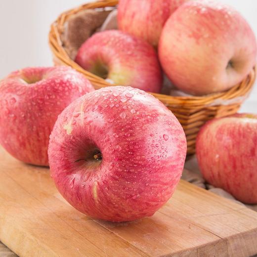 陕西洛川早熟红富士苹果24枚彩箱装(4.3kg以上) 商品图2