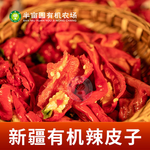 有机辣皮子200g*2袋 商品图3