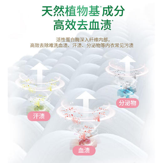 【分仓直发包邮】好爸爸天然植物基亲肤洗衣露450克（内衣专用淡雅樱花） 商品图3