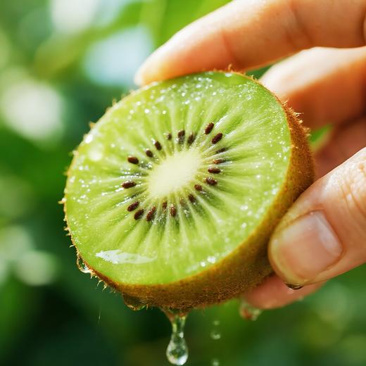 【盈香园】绿心猕猴桃礼盒装20粒(单果100g+) 商品图5