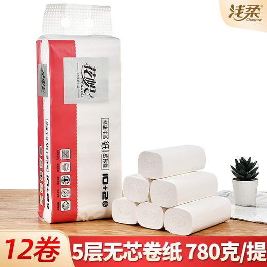 【分仓直发包邮】浅柔12卷白色卫生纸卷纸无芯卷筒纸5层加厚ZJ1010 商品图0