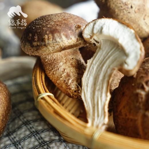 有机段木香菇（预售 ）| 合作生产*Organic Fresh Shiitake (Log-Cultivated) | Partner Pr 商品图1
