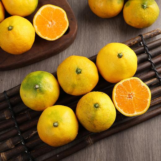 湖南石门小脆皮蜜桔 2.5kg装 商品图2