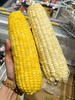 东北A级糯玉米（黄） 商品缩略图0