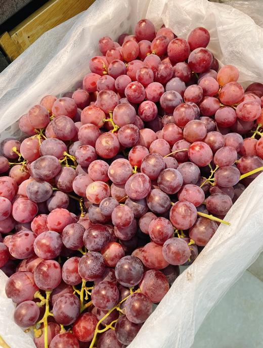 玻璃脆红提2斤 商品图3