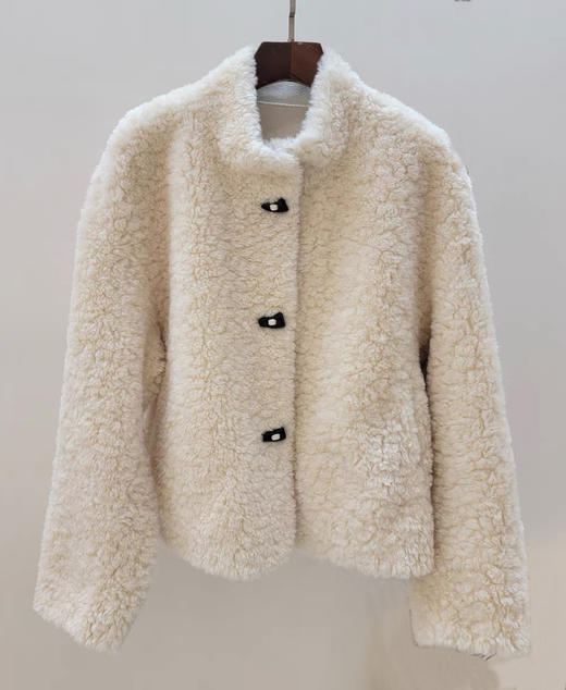 臣禾	【立领皮草】仿羊羔毛皮毛一体外套环保皮草	JZ254011975 商品图5