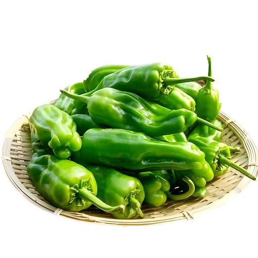 有机虎皮椒 商品图0