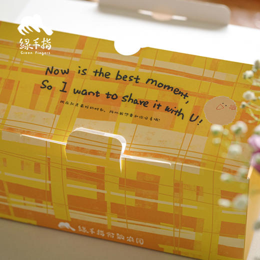 生态奶酪柠檬酥（简装&礼盒）| 合作生产*Ecological Cheese Lemon Crispy | Partner Production 商品图3