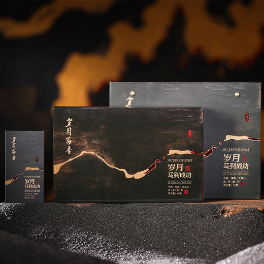 岁月留香马到成功6泡*10克/盒【臻选好茶】 商品图3