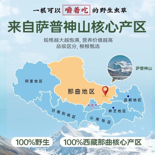 国坤堂 西藏那曲虫草贵系礼盒 商品图5