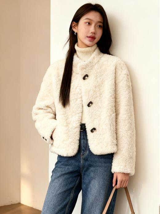 臣禾	【立领皮草】仿羊羔毛皮毛一体外套环保皮草	JZ254011975 商品图2