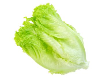 有机散叶生菜 商品图2