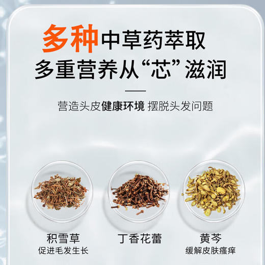 【分仓直发包邮】LK氨基酸平衡控油洗发水500g 商品图4