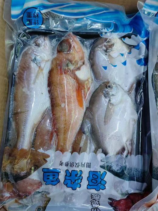 海杂鱼一袋 商品图0