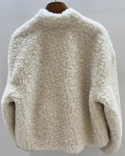 臣禾	【立领皮草】仿羊羔毛皮毛一体外套环保皮草	JZ254011975 商品图6