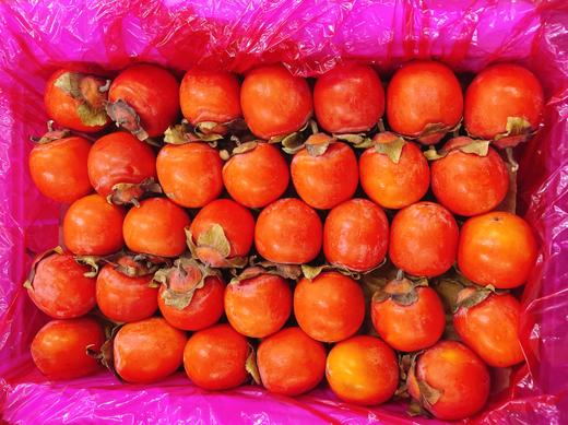 珍珠玲珑柿子一箱 商品图0