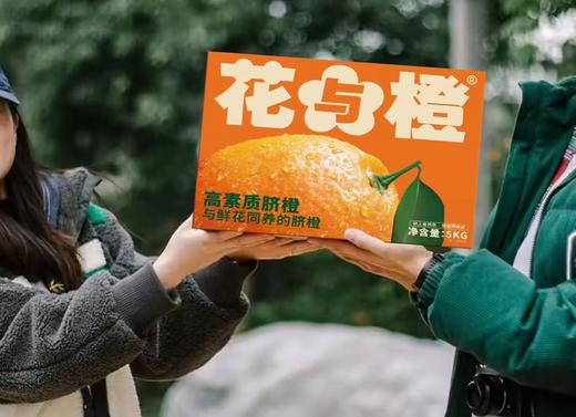 【辉煌田地赣南脐橙5斤/10斤/20斤/礼盒装】 商品图3