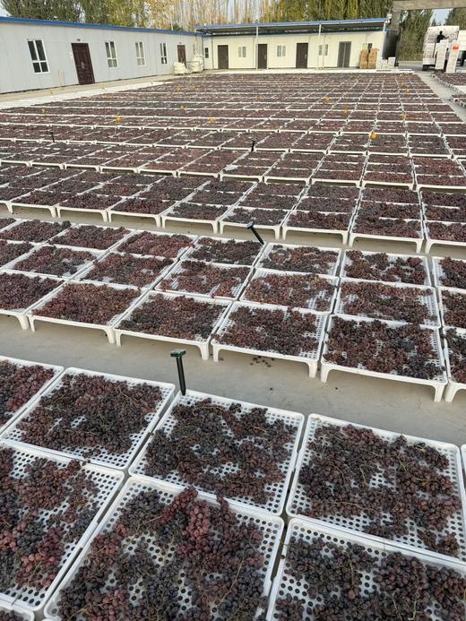 南疆葡萄干 商品图2