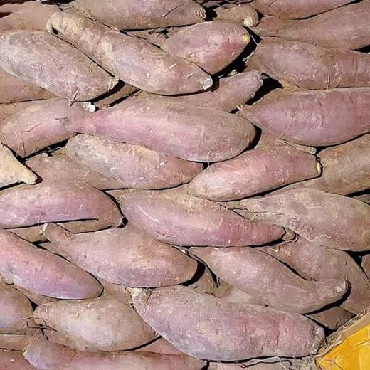 【物业中心自提商品，限俊发城片区】榴莲蜜薯1kg 商品图3