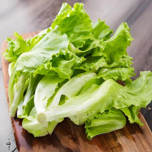 有机散叶生菜 商品图1
