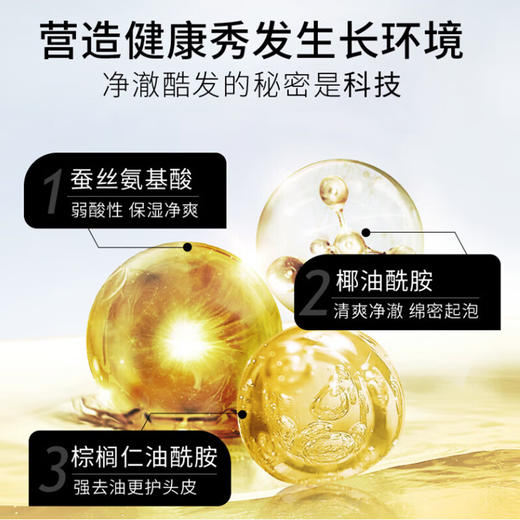 【分仓直发包邮】LK氨基酸平衡控油洗发水500g 商品图6