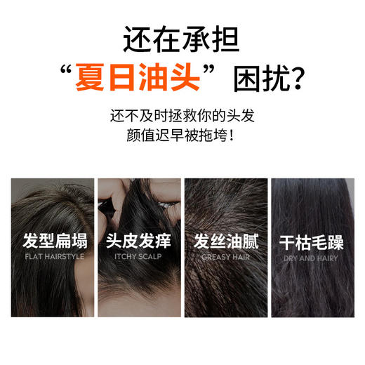 【分仓直发包邮】LK氨基酸平衡控油洗发水500g 商品图2