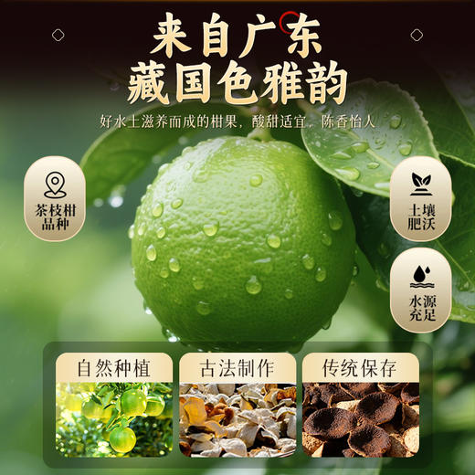 康美生活新会陈皮60g 陈化5年大红皮配礼盒 地理标志防伪溯源 商品图2