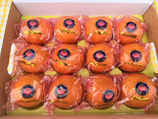 赣南脐橙12个装 净重7斤起步 商品图9