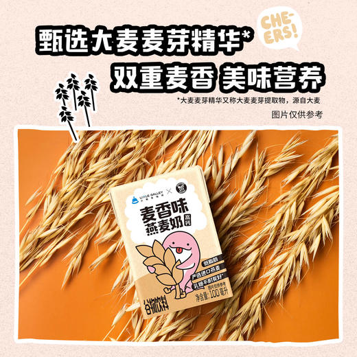 厦航小概率OATLY联名机上同款麦香燕麦奶高钙低脂麦香美味营养 商品图1