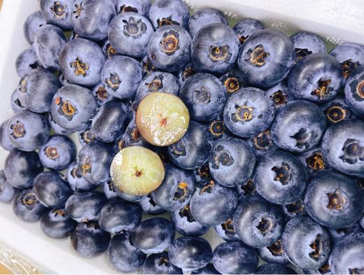 泡沫蓝莓一箱 商品图0