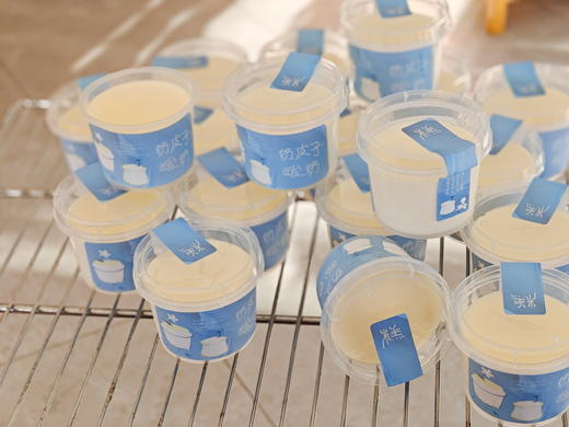 奶皮子酸奶 商品图2