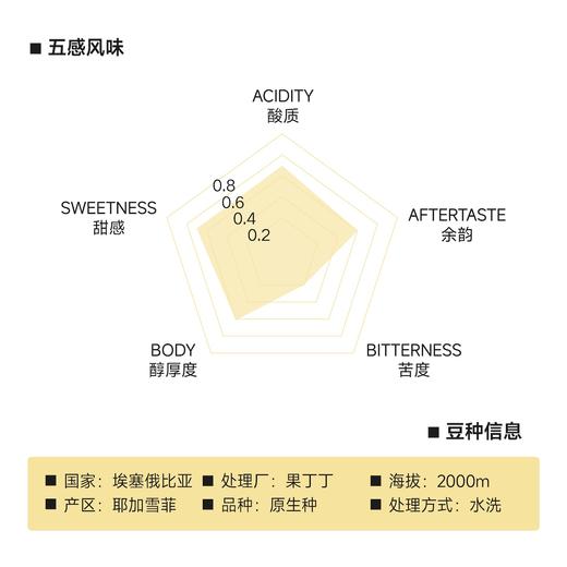 埃塞俄比亚 果丁丁 水洗 商品图1