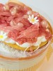 【固体杨枝甘露】四寸蛋糕版 商品缩略图2