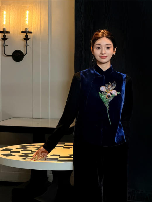 廷前观棠 | 乌鸢马甲 商品图1