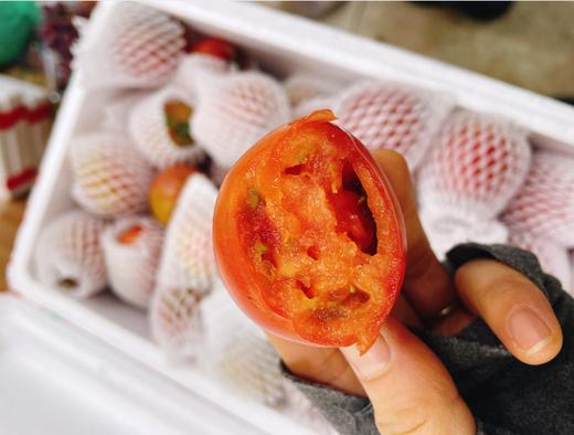 碱地珍珠草莓柿子一箱 商品图1