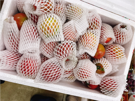 碱地珍珠草莓柿子一箱