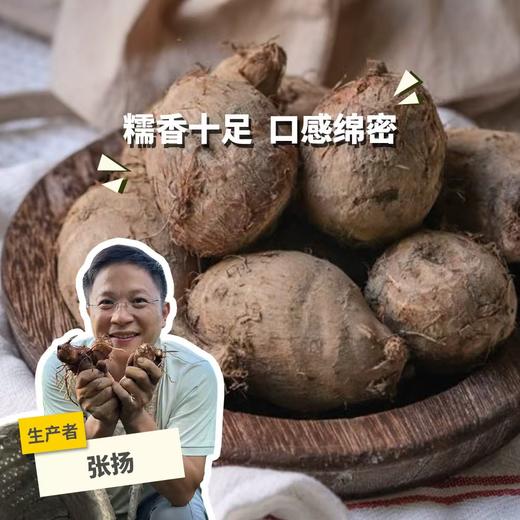 生态云南小芋头 | 合作生产* Ecological  taro  | Partner Production 商品图0