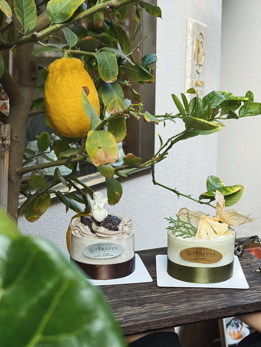 白茶梨语 MInicake 商品图8