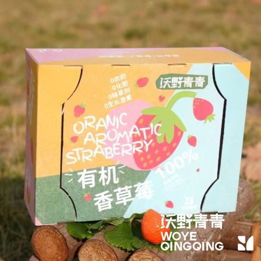 沃野青青香草莓 有机草莓 果肉紧实 口感香甜 果香四溢 唇齿留香 商品图2