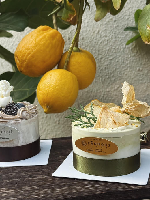 奥奥物语（可打包） 商品图11