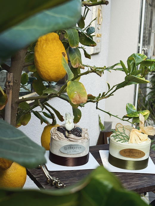奥奥物语 Minicake 商品图10