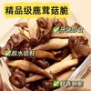 【强丽】鹿茸菇 商品缩略图0