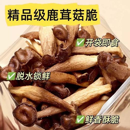【强丽】鹿茸菇 商品图0