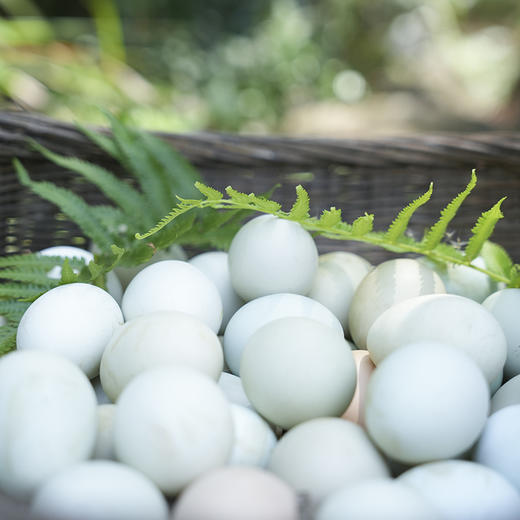 绿壳鸡蛋  30枚 商品图1