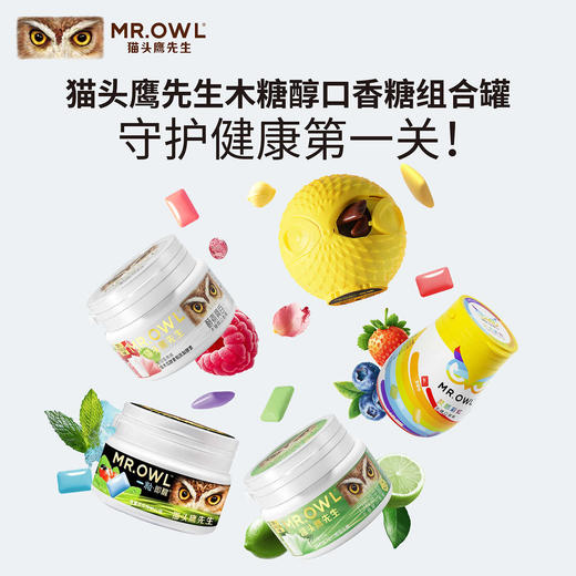 猫头鹰先生无糖口香糖50g 随时随地清新口气 060114/060116/064573  新老包装随机发货 商品图1