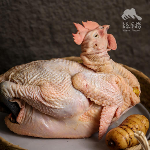 生态芦花鸡老母鸡/小公鸡/老公鸡 | 合作生产 *Eco-chicken | Partner Production 商品图2