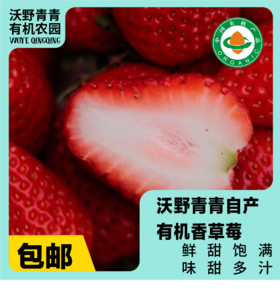 沃野青青香草莓 有机草莓 果肉紧实 口感香甜 果香四溢 唇齿留香