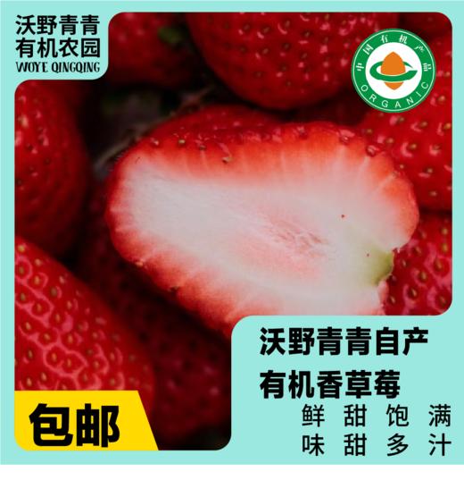 沃野青青香草莓 有机草莓 果肉紧实 口感香甜 果香四溢 唇齿留香 商品图0