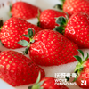 沃野青青香草莓 有机草莓 果肉紧实 口感香甜 果香四溢 唇齿留香 商品缩略图4